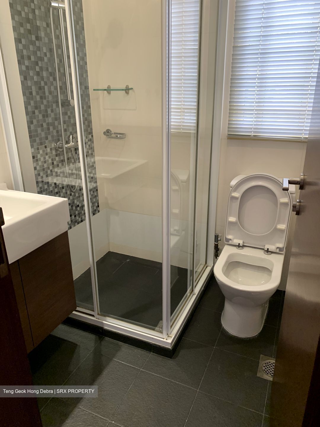Orange Regency (D10), Apartment #395665031